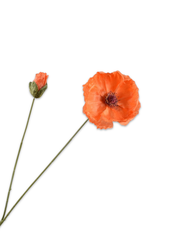 KLAPROOS ORANJE 82 cm