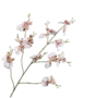 ORCHIDEE TAK WIT PAARS 91 cm