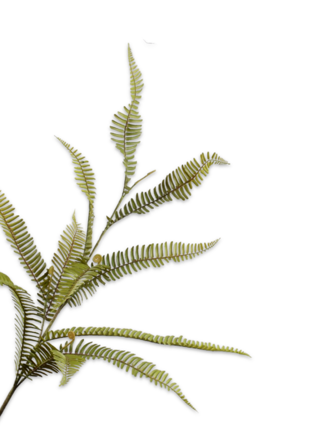 VAREN TAK GROEN 110 cm