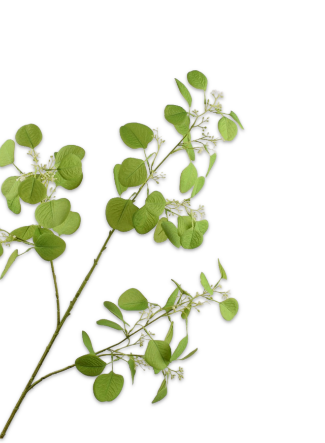 EUCALYPTUS TAK GROEN 112 cm