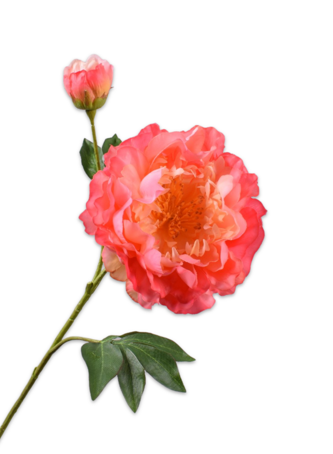 PIOEN TAK ZALM 79 cm