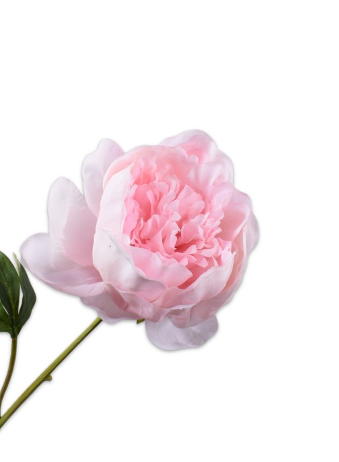 PIOEN STEEL LICHT ROZE 52 cm