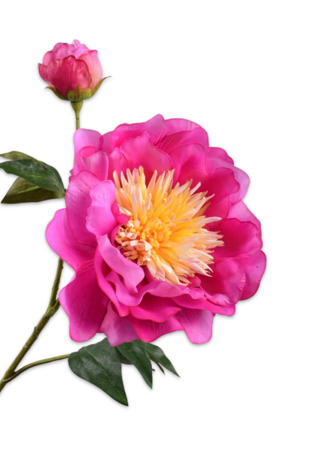 PIOEN TAK LAVENDEL CERISE 79 cm