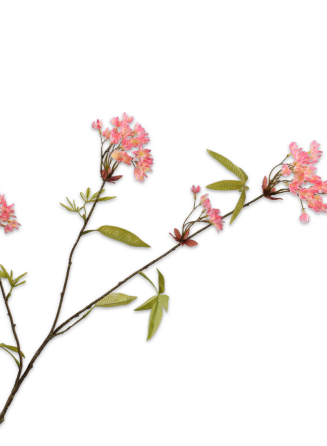 ESDOORN TAK ROZE 88 cm