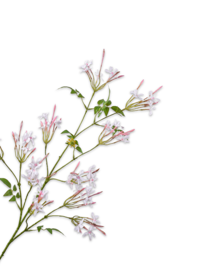 JASMIJN TAK WIT 101 cm