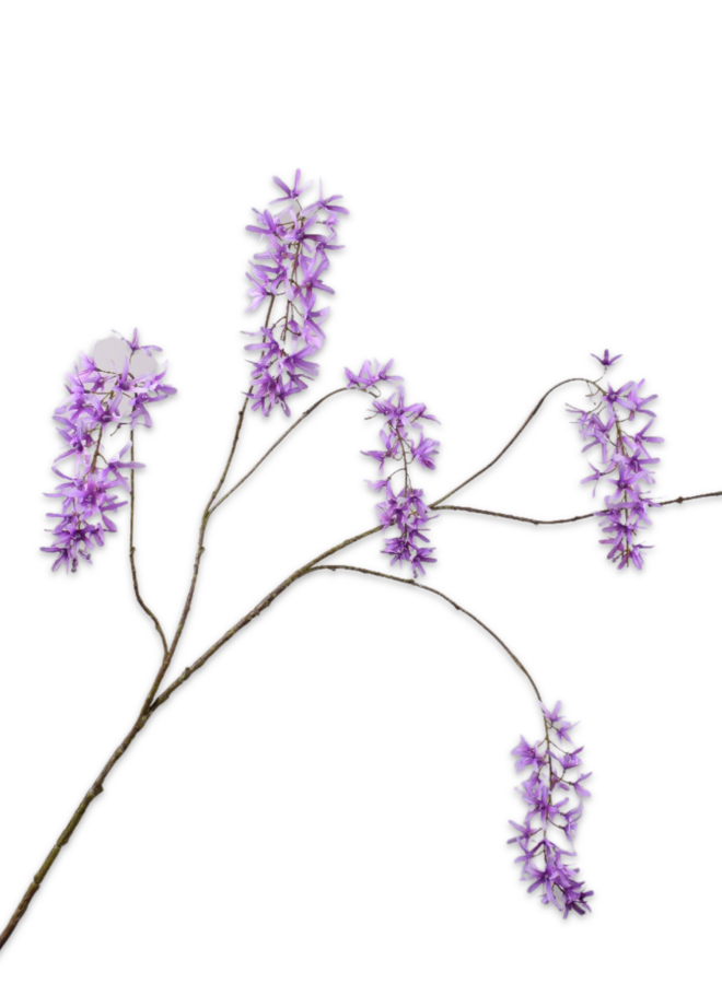 WISTERIA TAK PAARS 133 cm