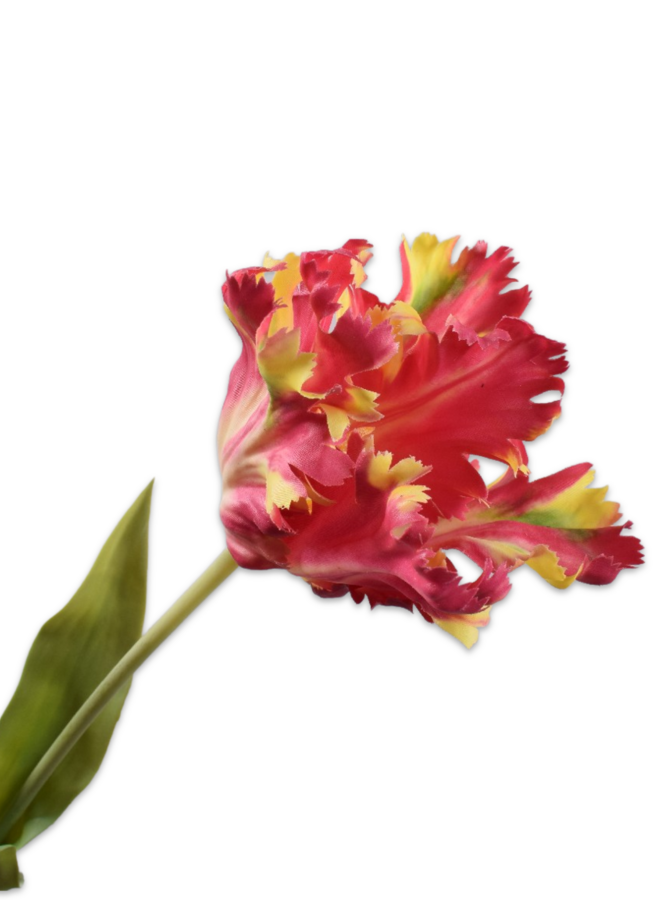 TULP STEEL ROOD GEEL 71 cm