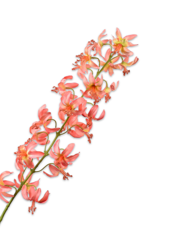 LELIE STEEL ZALM 105 cm