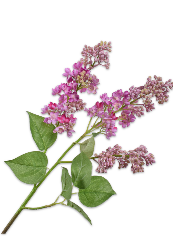 SERING TAK ROZE  88 cm