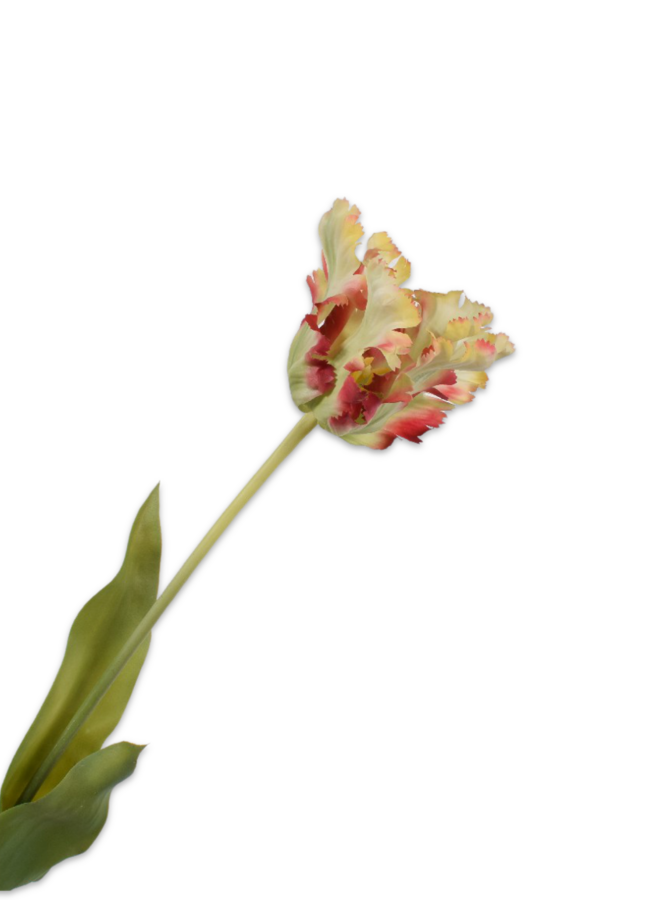 TULP STEEL ROOD/GROEN 71 cm