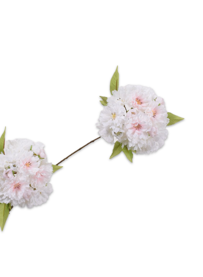 BLOESEM TAK CREME 72 cm