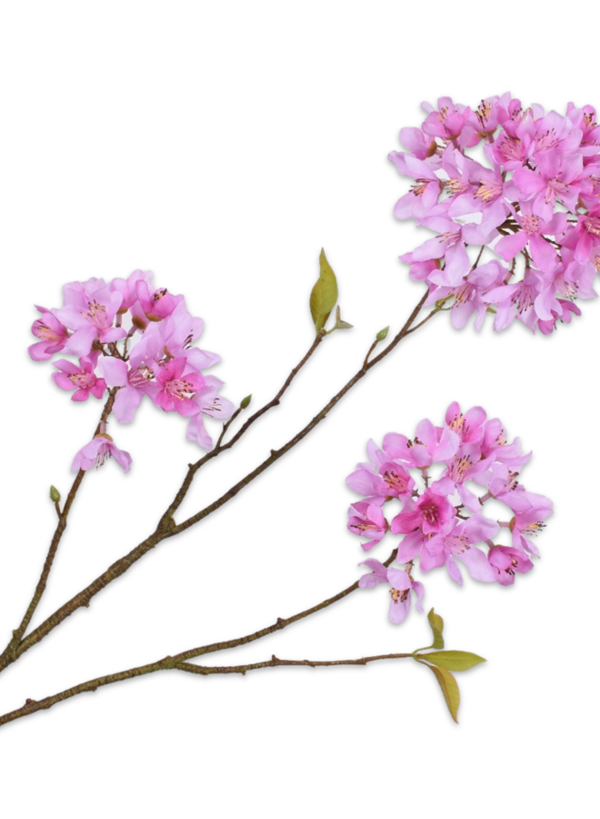 BLOESEM TAK LAVENDEL 70 cm