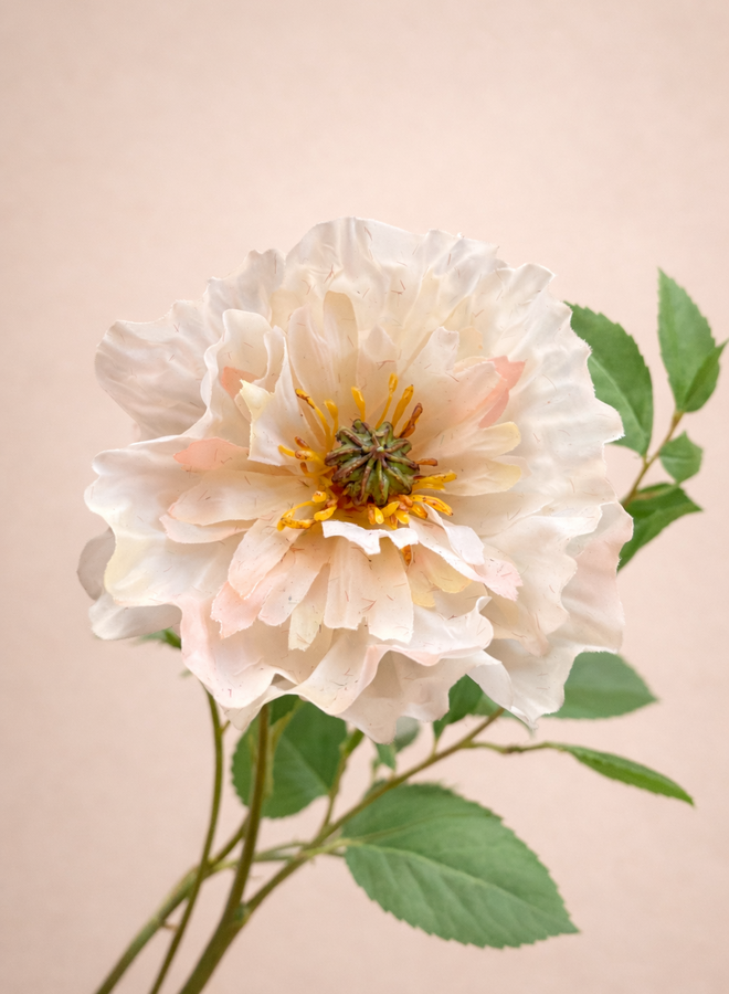 Boeket Coral Sensation