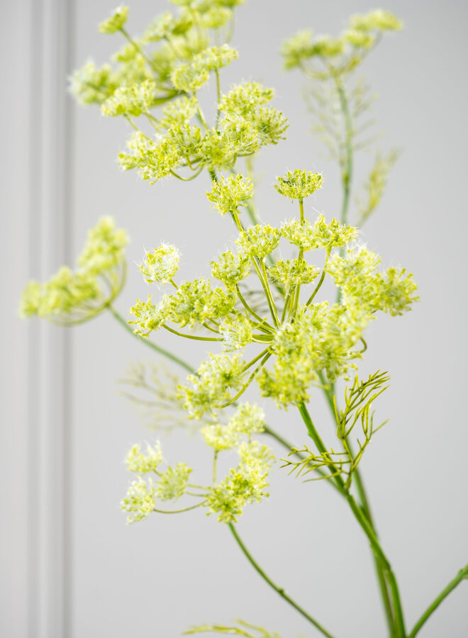 DILLE TAK GROEN 105 cm