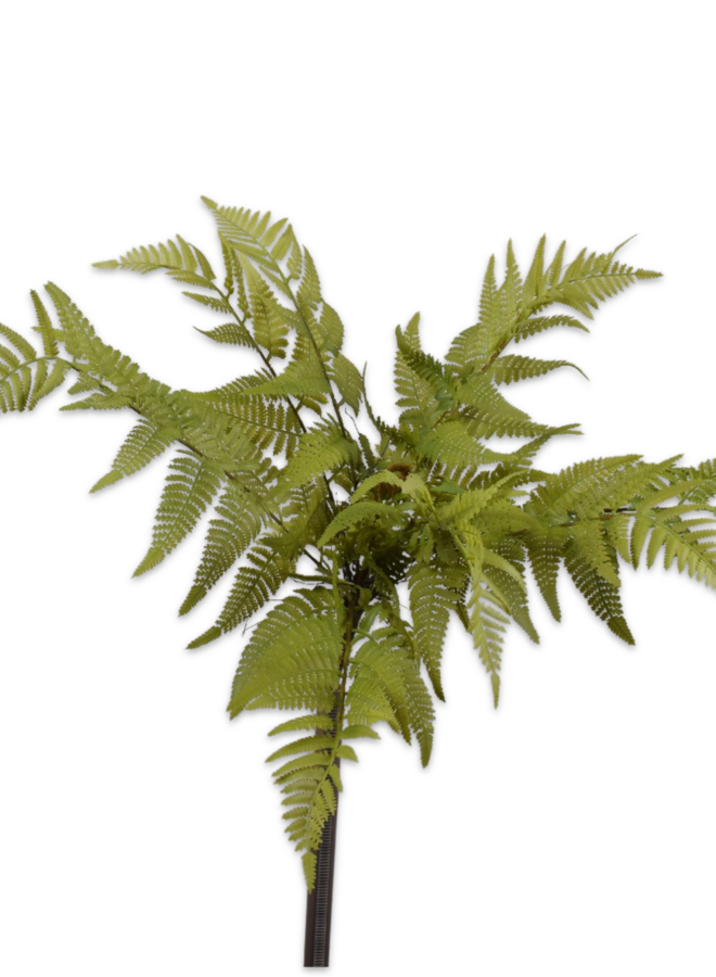 VAREN BUSH GROEN 46 cm