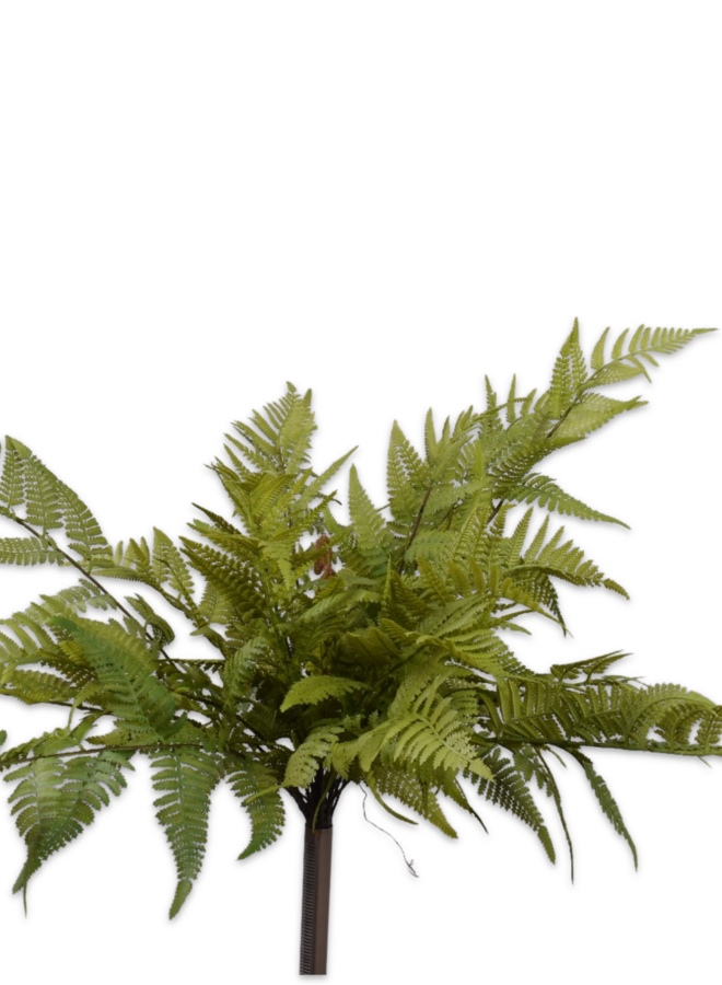 VAREN BUSH GROEN 52 cm