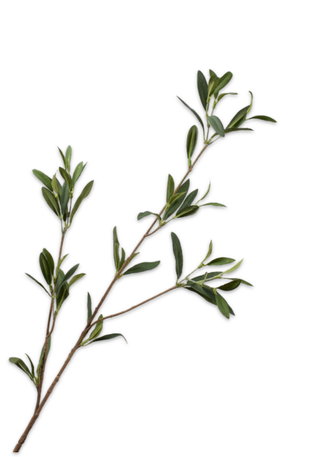 OLIJF TAK GROEN 88 cm