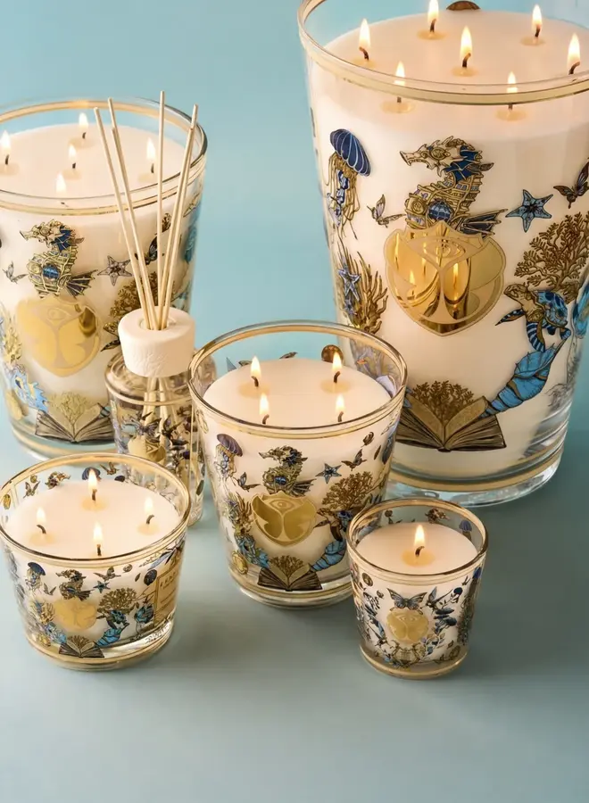 BAOBAB - KAARS TOMORROWLAND