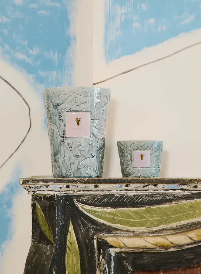 BAOBAB - KAARS PAZ COLOMBE