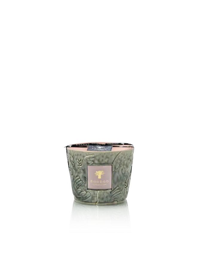 BAOBAB - KAARS PAZ COLOMBE