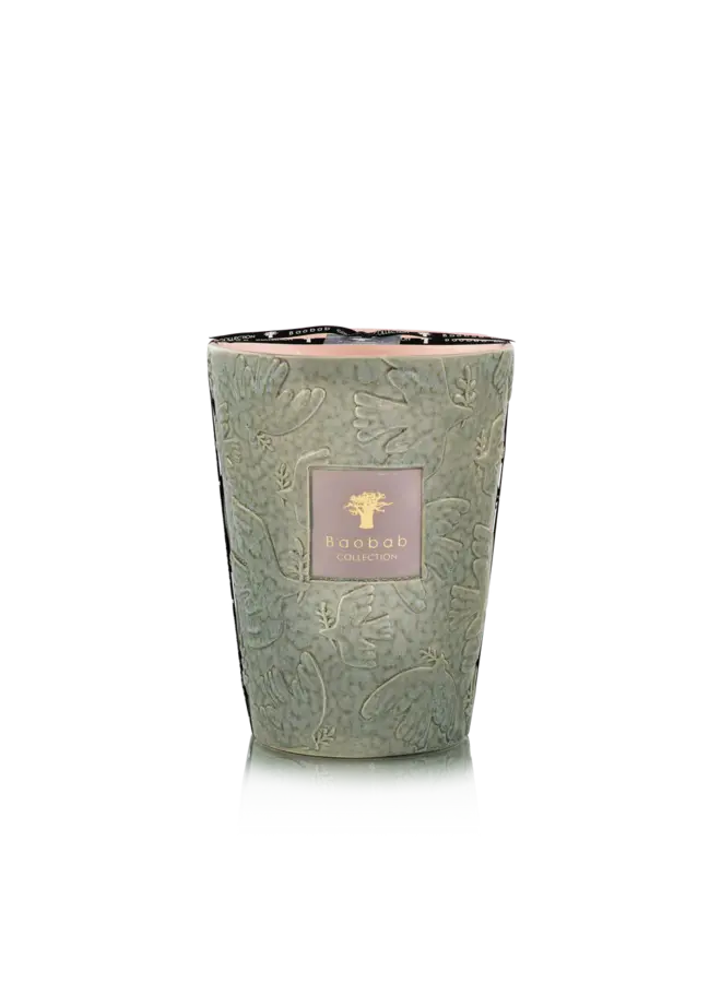 BAOBAB - KAARS PAZ COLOMBE