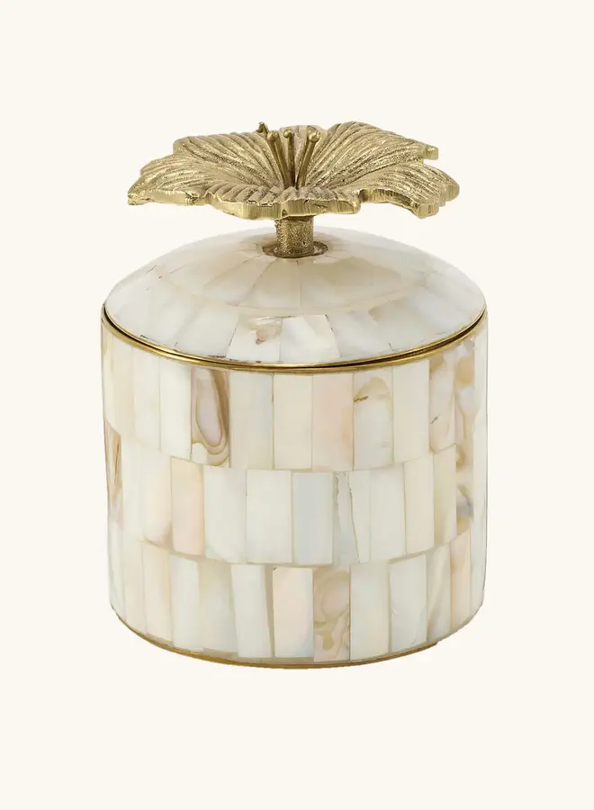 Hailey Hibiscus Circus Sieradendoos Groot Parelmoer