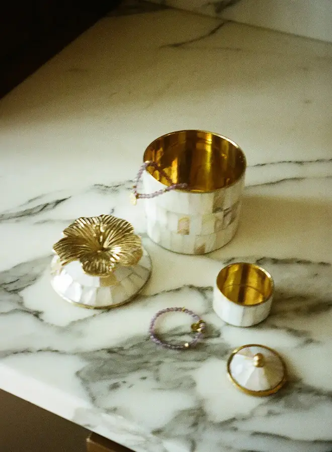 Hailey Hibiscus Circus Sieradendoos Groot Parelmoer