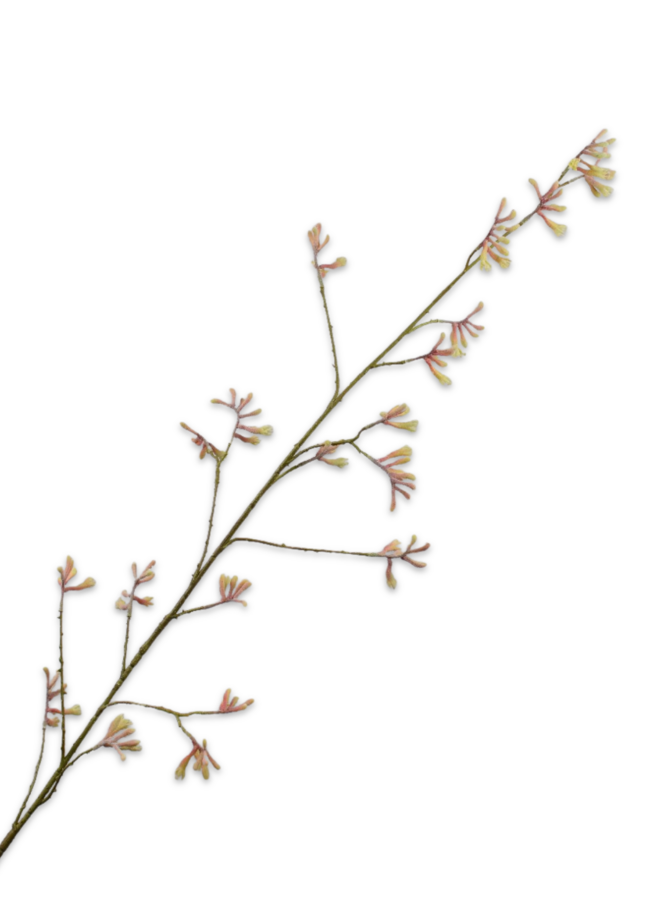 KANGAROEPOOTJE TAK ROZE GROEN 162 cm