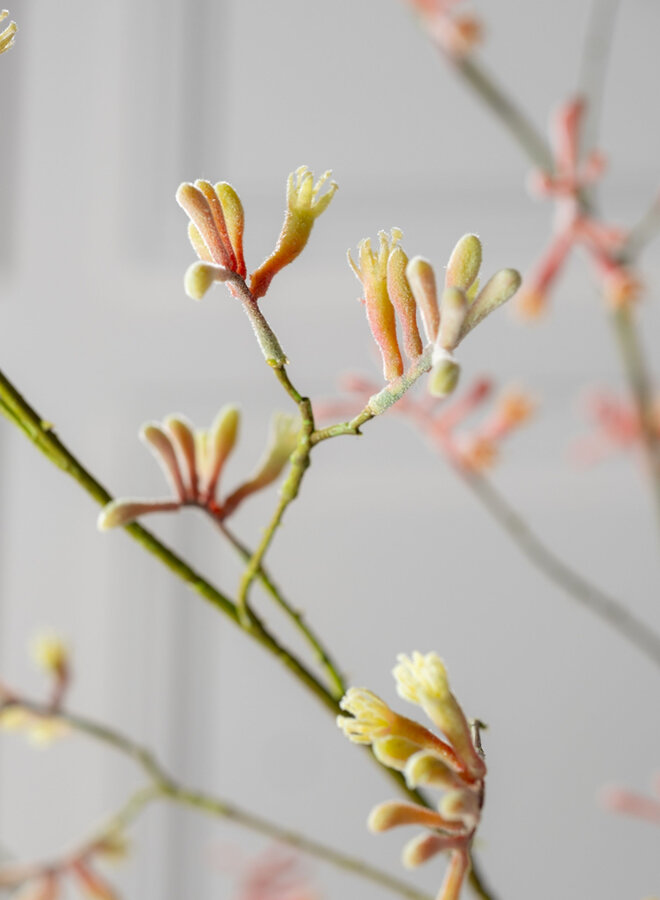 KANGAROEPOOTJE TAK ROZE GROEN 162 cm