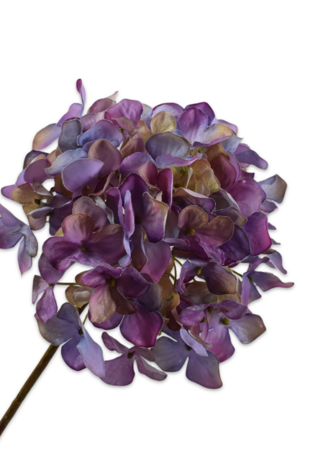 HORTENSIA STEEL LAVENDEL 63 cm