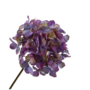 HORTENSIA STEEL LAVENDEL 63 cm