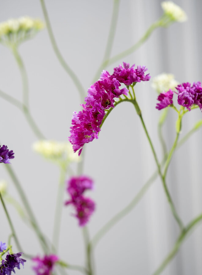 STATICE TAK LAVENDEL 95 cm
