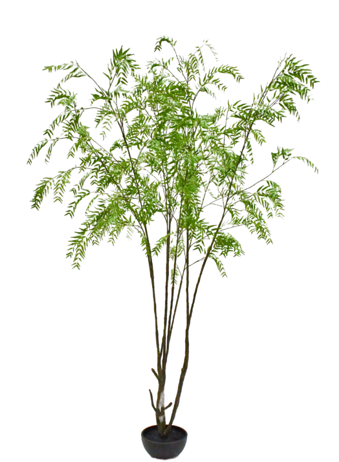 WILG IN POT GROEN 280 cm