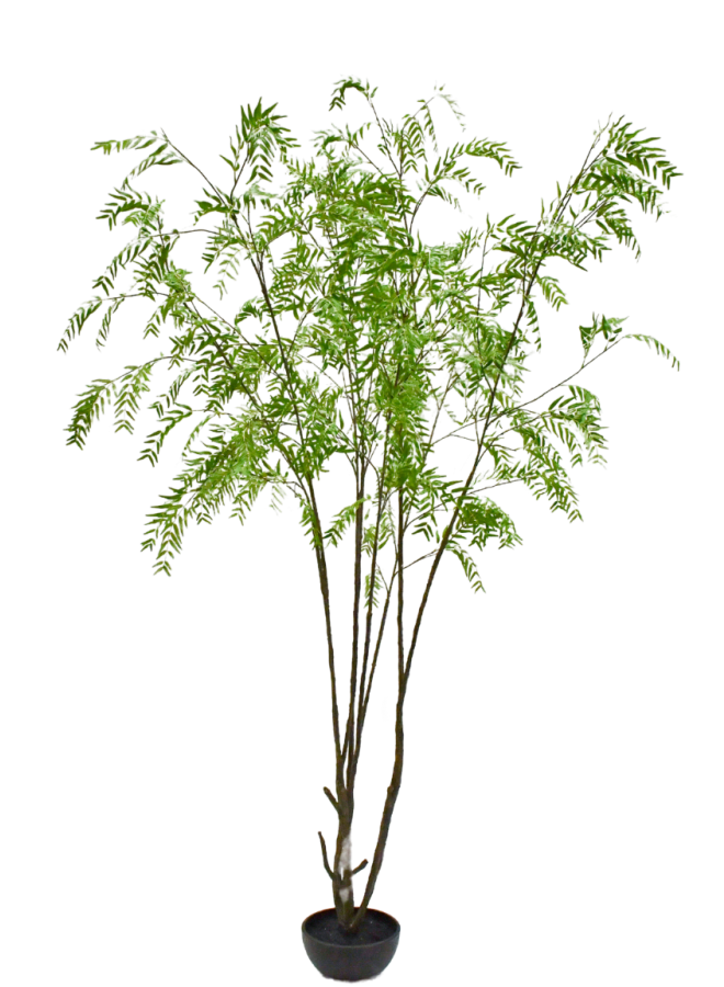 WILG IN POT GROEN 280 cm