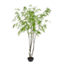 WILG IN POT GROEN 280 cm
