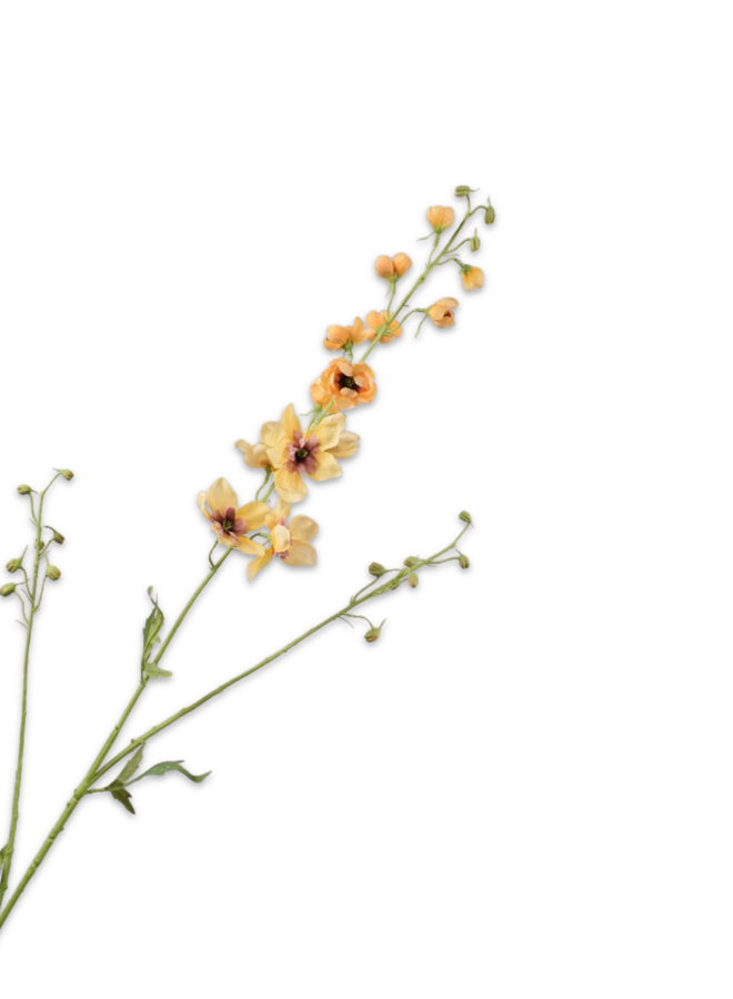 DELPHINIUM TAK GEEL 101 cm