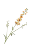 DELPHINIUM TAK GEEL 101 cm