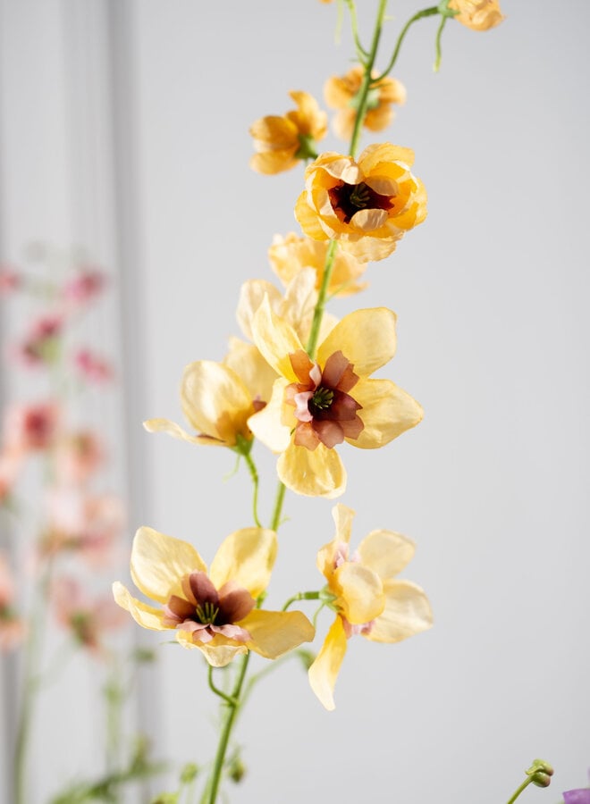 DELPHINIUM TAK GEEL 101 cm