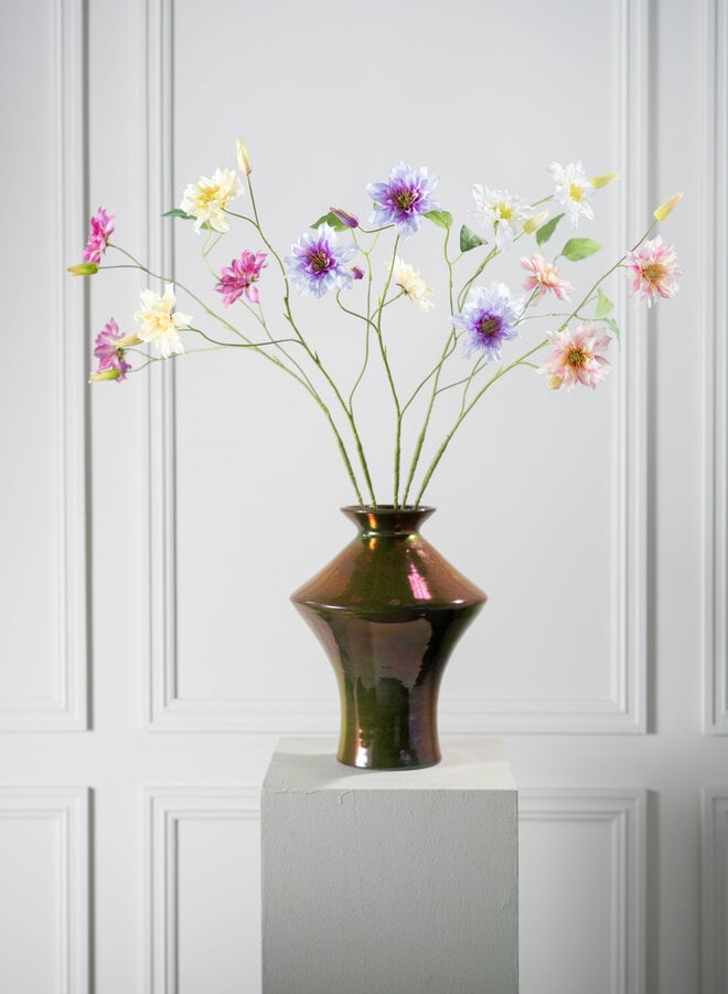 CLEMATIS TAK BEAUTY 98 cm
