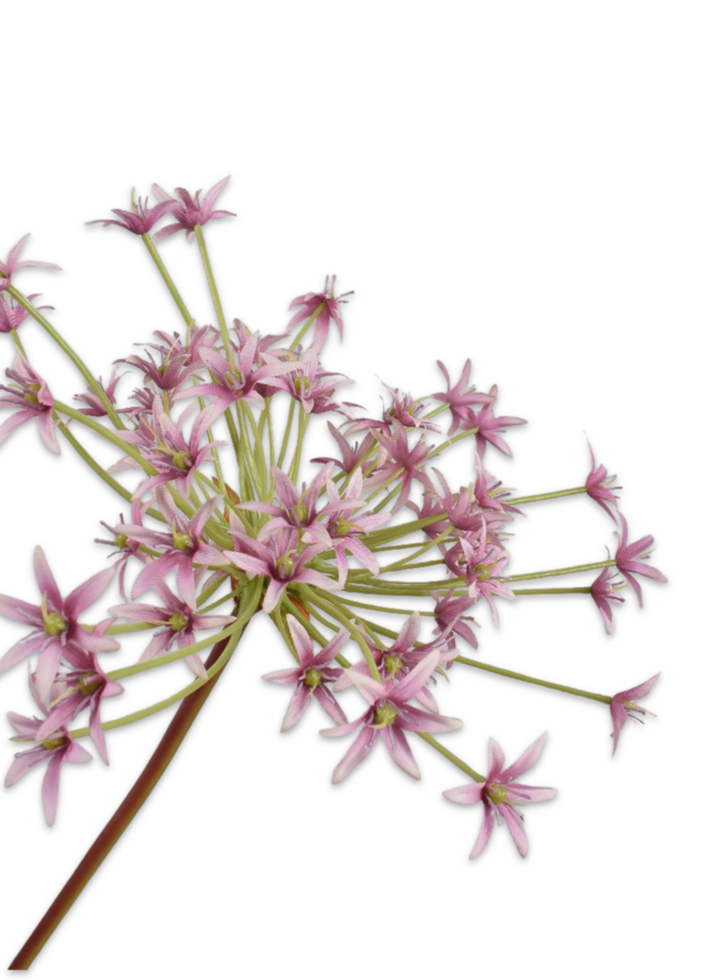 ALLIUM STEEL LILA 87 cm