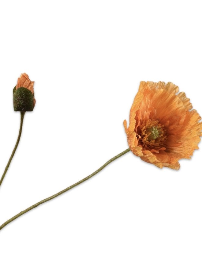 KLAPROOS TAK ORANJE 74 cm