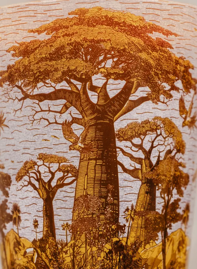 BAOBAB - SACRED TREES BOUNKANI