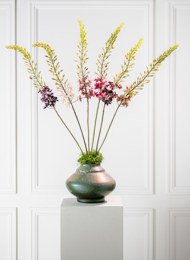 EREMURUS STEEL PAARS 107 CM