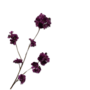 BLOESEM TAK LAVENDEL 84 CM