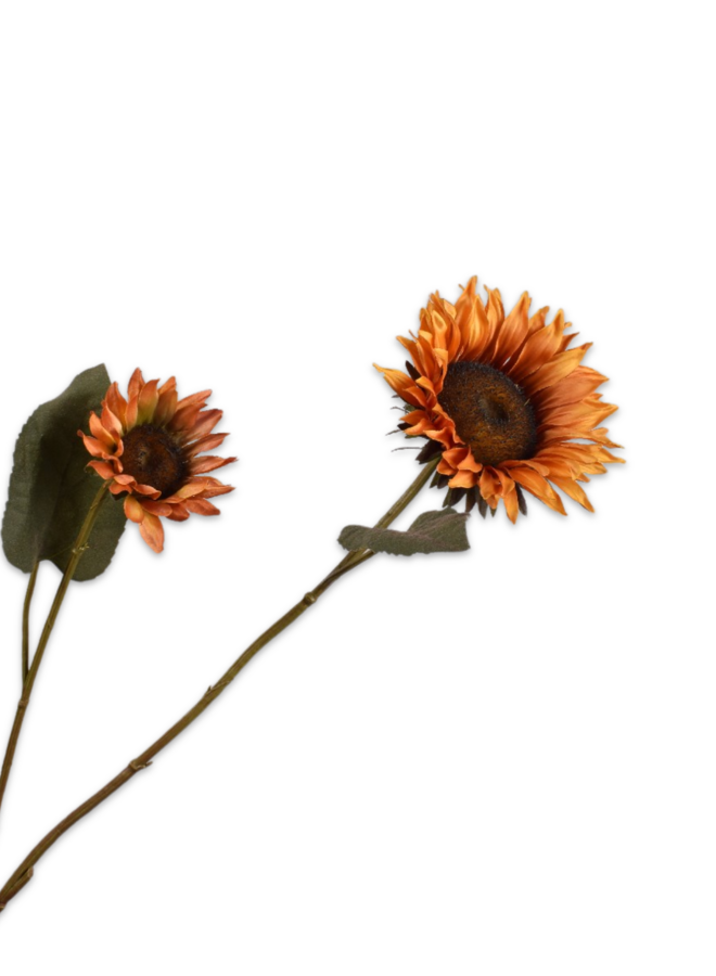 ZONNEBLOEM TAK ORANJE 75 CM