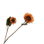 ZONNEBLOEM TAK ORANJE 75 CM