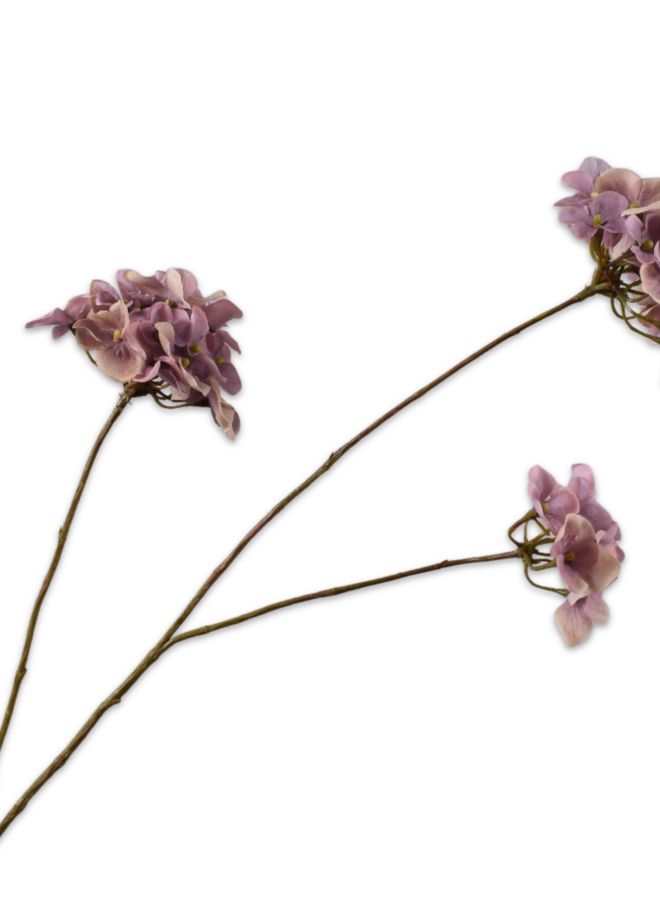 HORTENSIA TAK LAVENDEL 85 CM