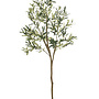 Olive tree 180cm