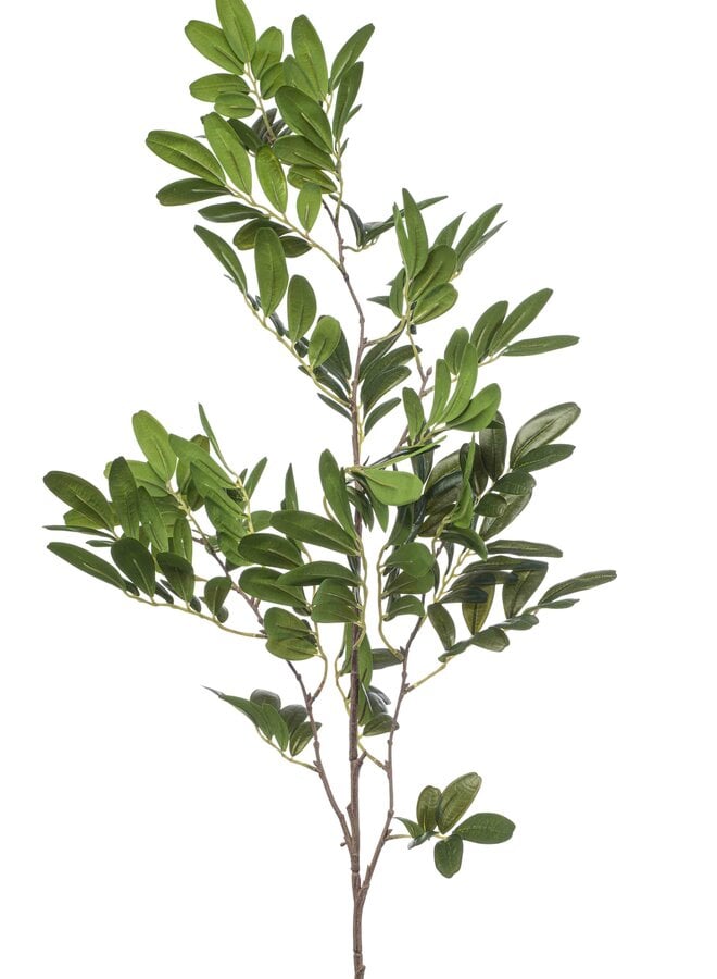 Pistacia spray 90cm