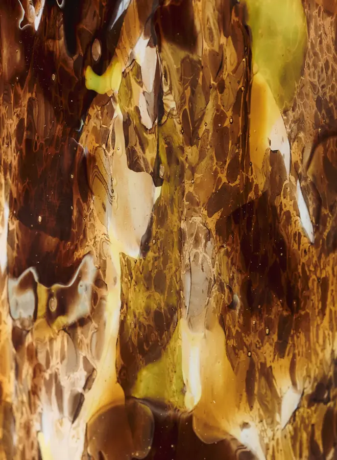 BAOBAB - HALONA YELLOW WORLD